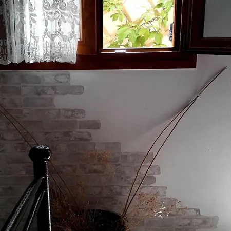 Maury Down Town Apartmán