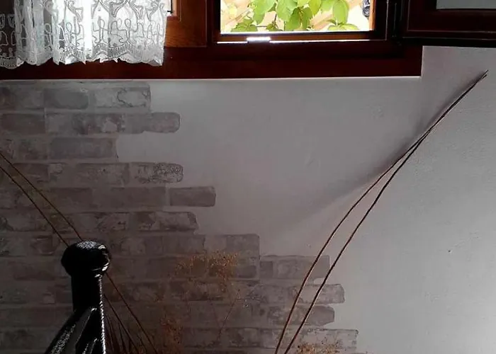 Maury Down Town Daire